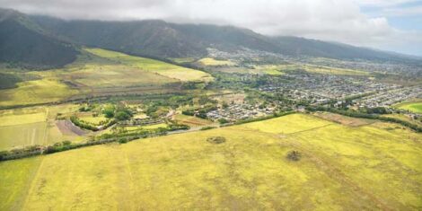 Report: Housing market activity ‘uptick’ possible